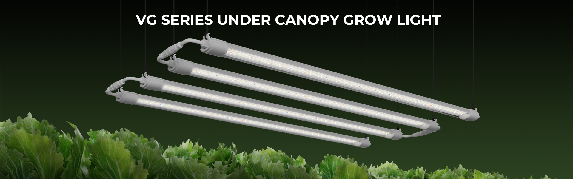 GrowLed VG Light led grow light fast delivery