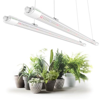 GrowLed mars hydro VG80 Led grow Light