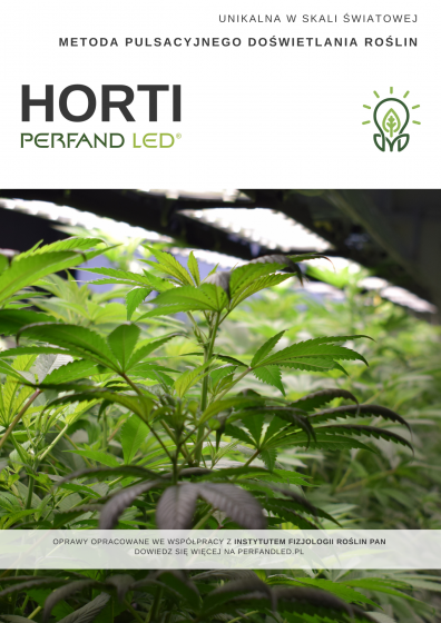 GrowLed Horti 2 szybka dostawa, najwyższa jakość, tanie ceny